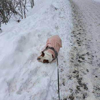 Winter-Waldweg Bodmen - Hiking Near Me - Saas-Fee, VS
