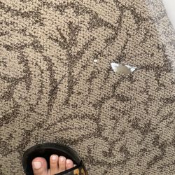 Three Rivers Apartments - Razor from the maintenance