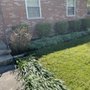 Dayton Yard Sharks
