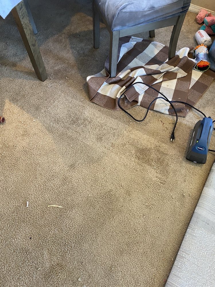 Photos of MANN’S CARPET CLEANING Updated August 2024 15 Photos & 21