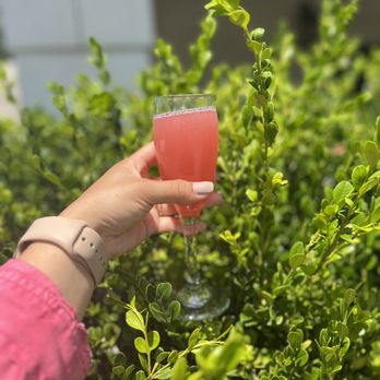 Jo's as always - watermelon mimosa - Desserts Near Me - Pensacola, Florida Jo's as always - watermelon mimosa - Desserts Near Me - Pensacola, Florida
