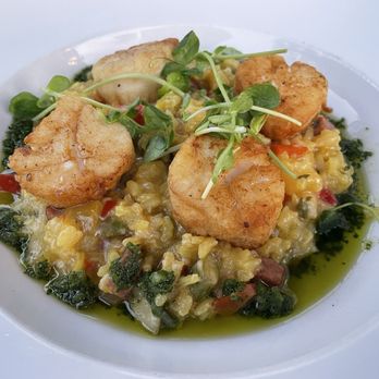 Vyne Restaurant & Bar - Scallops with risotto - American Near Me - Middlebury, Connecticut