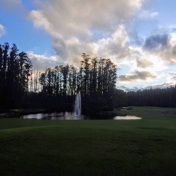 Saddlebrook Resort - Gorgeous greens - Resorts Near Me - Wesley Chapel, Florida