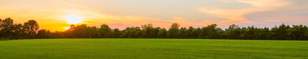 Synergy Recovery Center - grief counselor in Rogersville, MO