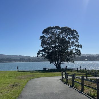 Blackies Pasture - Parks Near Me - Tiburon, California Blackies Pasture - Parks Near Me - Tiburon, California