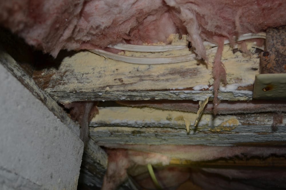 DIAMOND HOME INSPECTIONS Vanceboro, North Carolina Home Inspectors