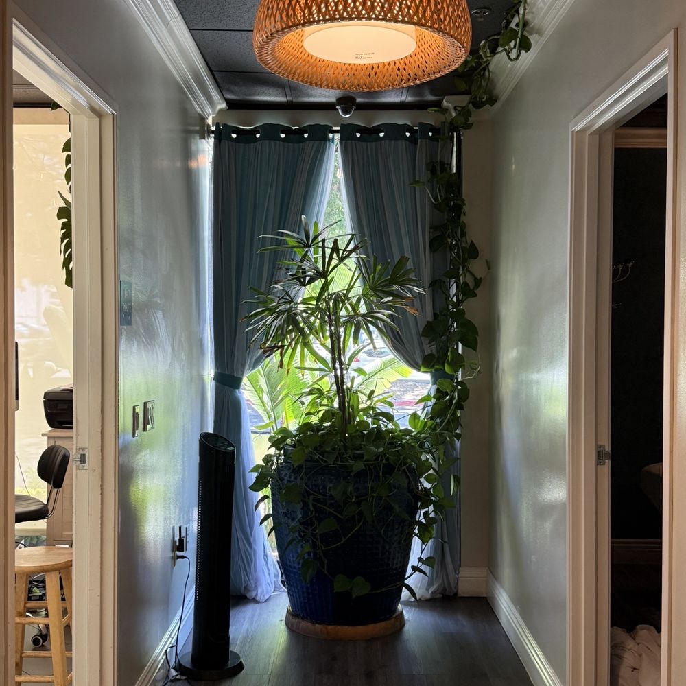 The Garden Spa - Beautiful plant in their hallway - Massage Therapy Near Me - San Jose, California The Garden Spa - Beautiful plant in their hallway - Massage Therapy Near Me - San Jose, California