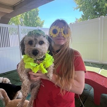 Camp Bow Wow Reno South - Pool pawty activity - Pet Training Near Me - Reno, Nevada Camp Bow Wow Reno South - Pool pawty activity - Pet Training Near Me - Reno, Nevada