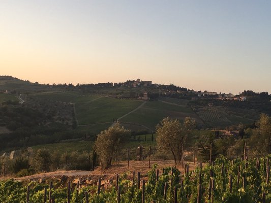 Borgo Vescine by null