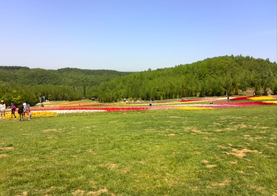 Takino Suzuran Hillside Park by null