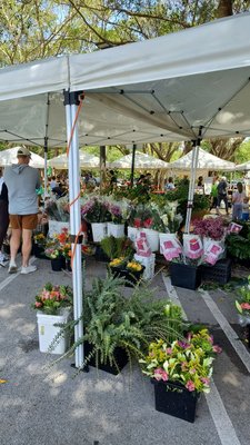 Pinecrest Farmers' Market by null