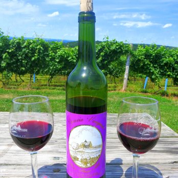 Gouveia Vineyards - Wineries Near Me - Wallingford, Connecticut