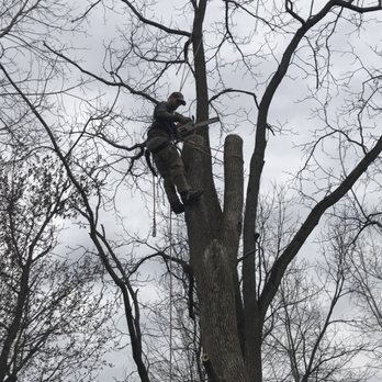 Mays Tree and Stump - Climbing - Tree Services Near Me - Alden, New York Mays Tree and Stump - Climbing - Tree Services Near Me - Alden, New York