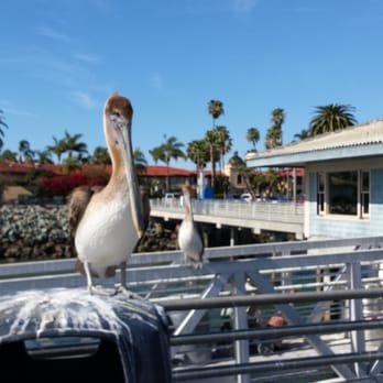 Best Western Plus Island Palms Hotel & Marina - Across the street there is a pier - San Diego, CA