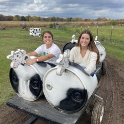 Cow train