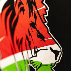 FlagShip Printing & Design
