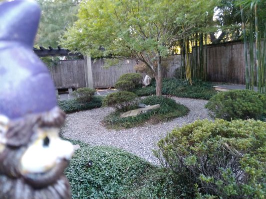 New Orleans Botanical Garden by null