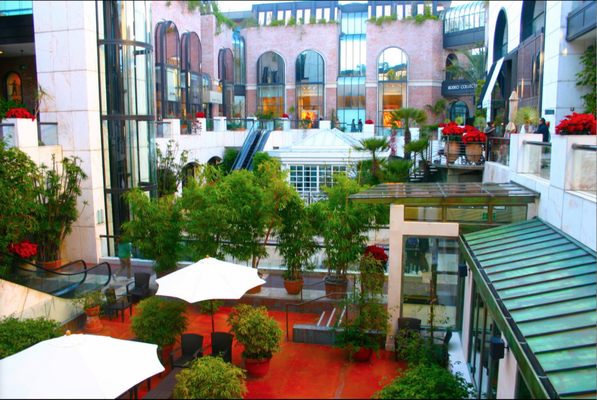 The Rodeo Collection by null