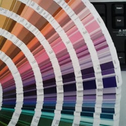 Universitat Politècnica de València - Flipant en #pantone