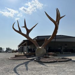 City of Casey - Big Antlers
