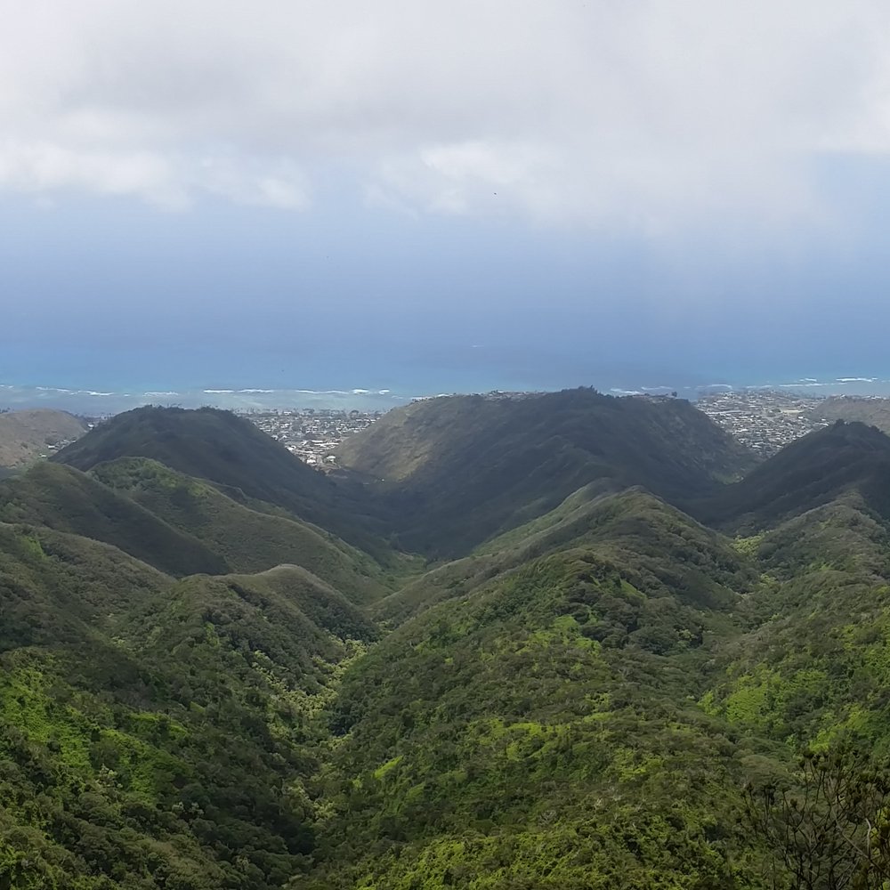 Hawaii Loa Ridge Trail - Hiking Near Me - Honolulu, Hawaii Hawaii Loa Ridge Trail - Hiking Near Me - Honolulu, Hawaii