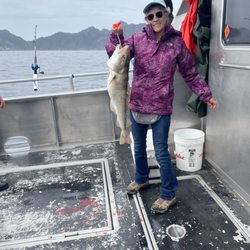 Puffin Fishing Charters