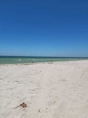 Delnor-Wiggins Pass State Park by null