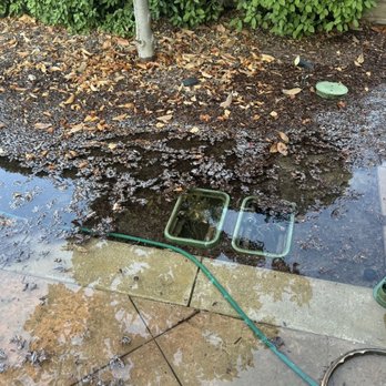 805 Drip Design - Before photo of the emergency leak - Irrigation Near Me - Newbury Park, California 805 Drip Design - Before photo of the emergency leak - Irrigation Near Me - Newbury Park, California