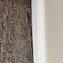 5280 Carpet Cleaning & Restoration - Denver Area