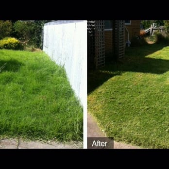 Economic Mowing - Before and after for one of the properties - Landscaping Near Me - Virginia Beach, Virginia Economic Mowing - Before and after for one of the properties - Landscaping Near Me - Virginia Beach, Virginia