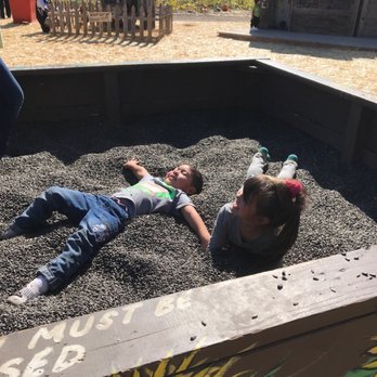 Goblin Gardens - Sunflower Box - Pick Your Own Farms Near Me - Sacramento, California Goblin Gardens - Sunflower Box - Pick Your Own Farms Near Me - Sacramento, California