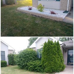 Rescue Landscape - Rescue Landscape