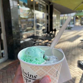 Kilwins - Mint chip and toasted coconut - Chocolatiers & Shops Near Me - Delray Beach, Florida