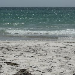 Cortez Beach
