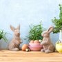 Meadows Home Decor & Gifts