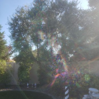 Roberto’s Tree Service - Tree Services Near Me