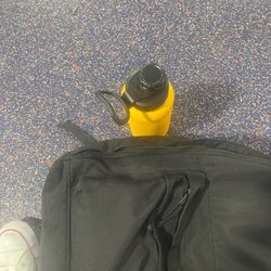 Bears Fit
