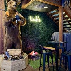 Uncle’s Bar & Social Club - Fiesta bear