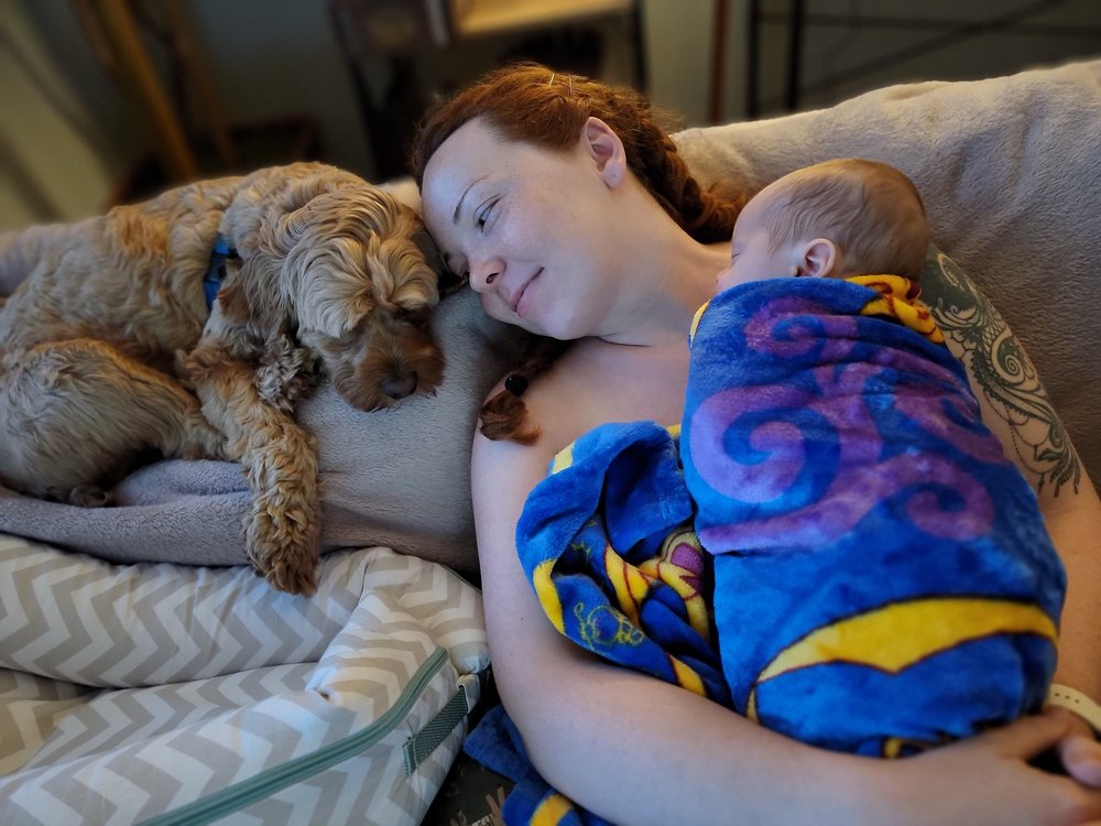 PICKLES AND ICE CREAM DOULA Updated April 2024 Cherry Hill, New