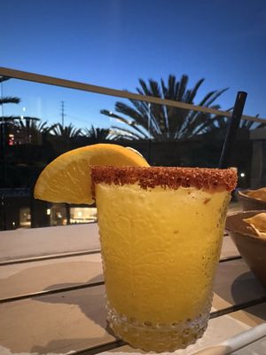 Elicit Bar & Lounge by null