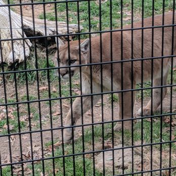 Abilene Zoo - Zoos Near Me - Abilene, Texas