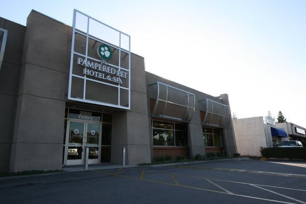 pampered pet hotel & spa