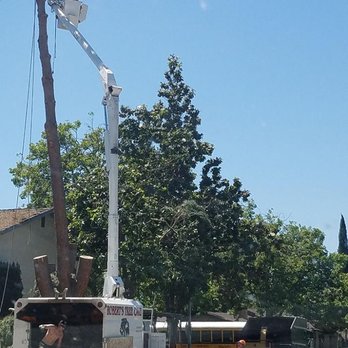 Robert's Tree Care - Tree Services Near Me - Stockton, California