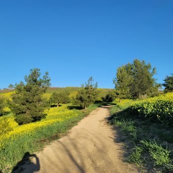Madrugada Trail - Hiking Near Me - Chino Hills, California Madrugada Trail - Hiking Near Me - Chino Hills, California