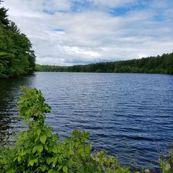 Gates Pond