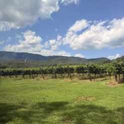 Jones Von Drehle Vineyards & Winery - Winery vines