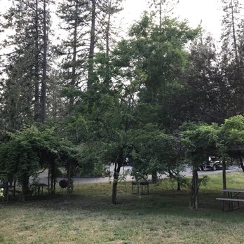 Shasta Lake Motel - Lovely picnic area - Hotels Near Me - Lakehead, California Shasta Lake Motel - Lovely picnic area - Hotels Near Me - Lakehead, California