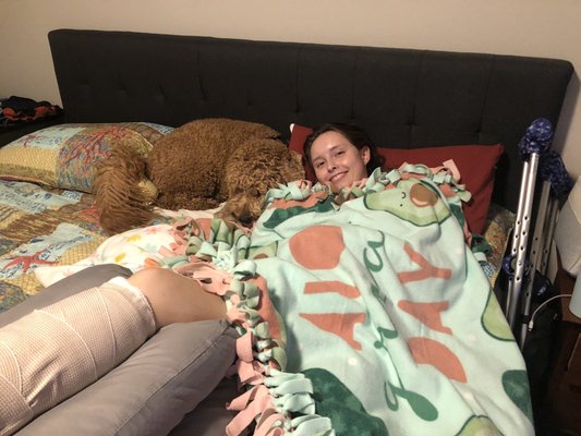 All Pets Boarding Resort