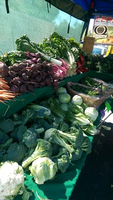 Willow Glen Farmers' Market by null