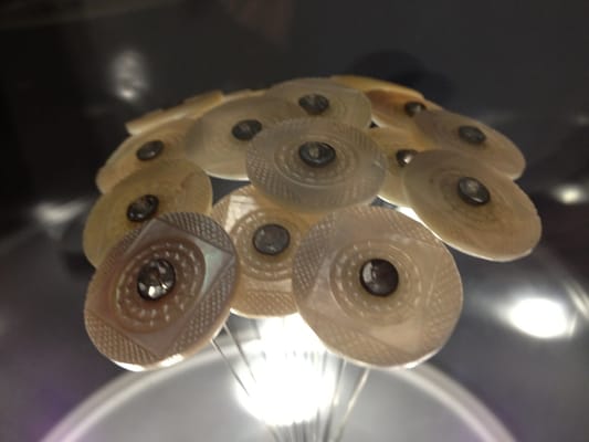 Mozart's Birthplace by null